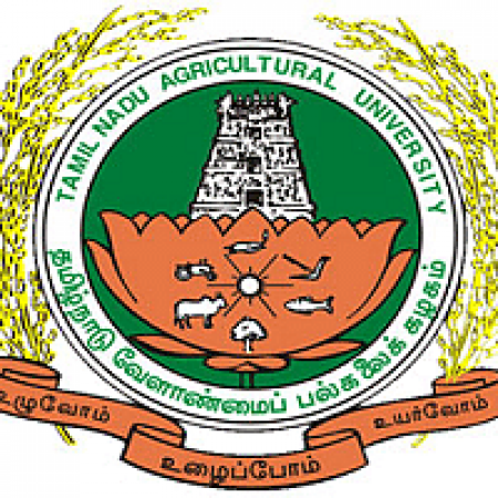 Agricultural Engineering College and Research Institute - [AEC&RI]